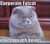 funny-pictures-corporate-fat-cat-is-keeping-the-bonus.jpg