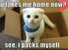 funny-pictures-cat-wants-to-go-home.JPG